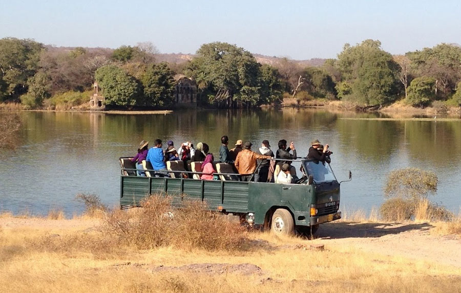 canter safari in ranthambore